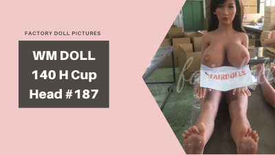 Customer Factory Sex Doll Pictures | 140 H Cup